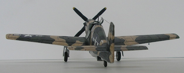 4_P-51.JPG