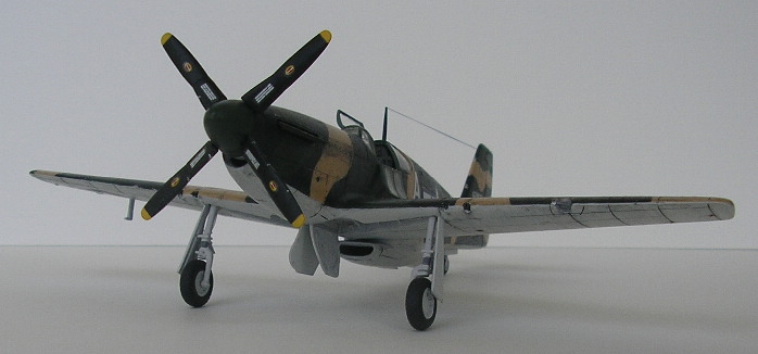 2_P-51.JPG