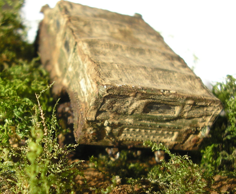 3_HUMMER.JPG