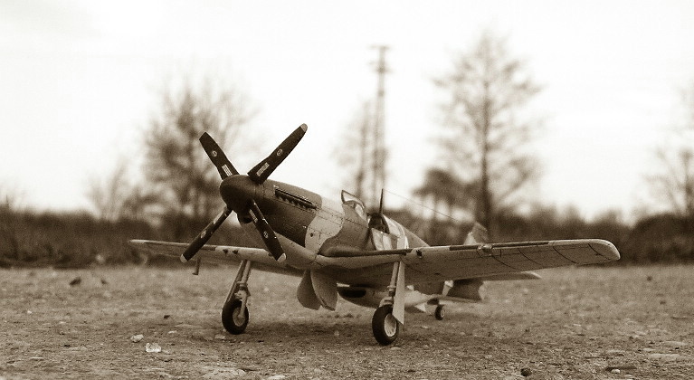 1_P-51.JPG